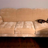 пример перетяжки диван