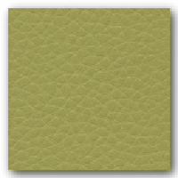 мебельная ткань Экокожа ALBA - дизайн Dollaro 583